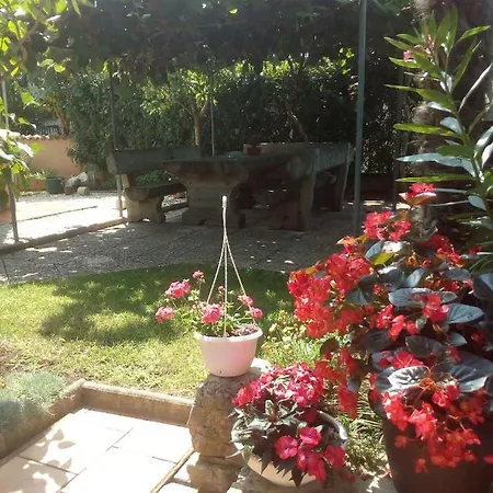 In - Istrien 40450 Porec